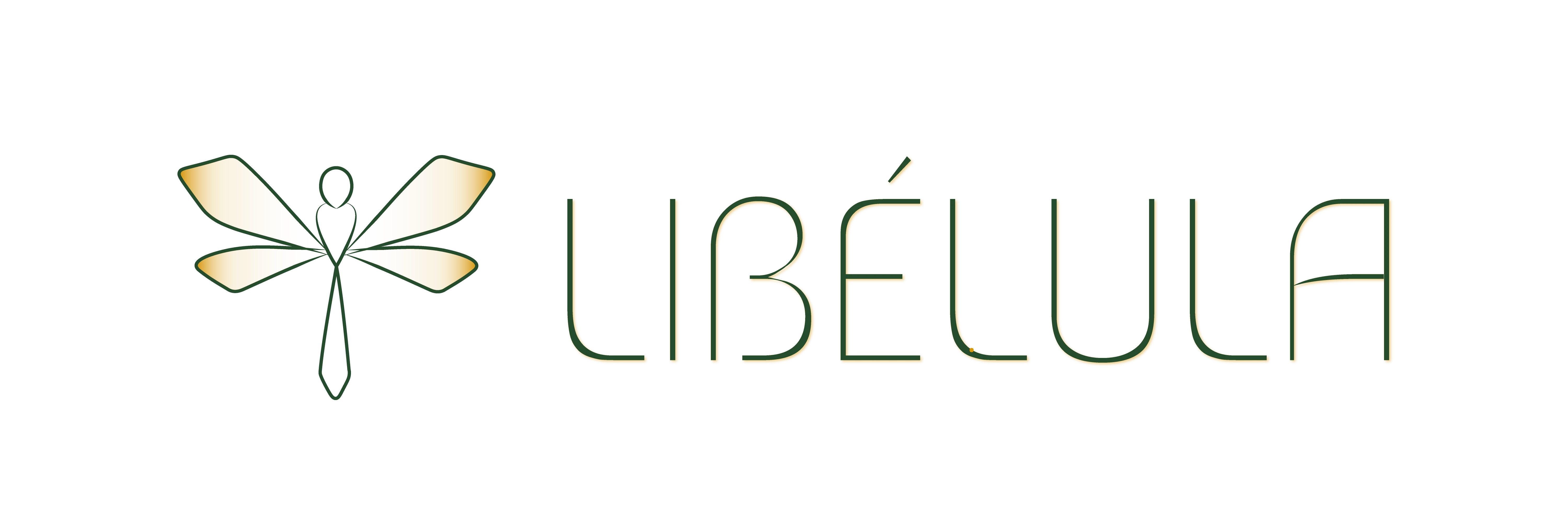 Libélula Arquitetura